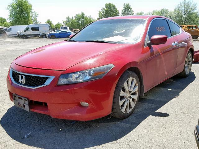 1HGCS21838A013002 - 2008 HONDA ACCORD EXL RED photo 2