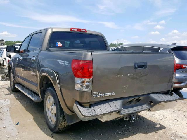 5TFEV58128X059667 - 2008 TOYOTA TUNDRA CRE TAN photo 3