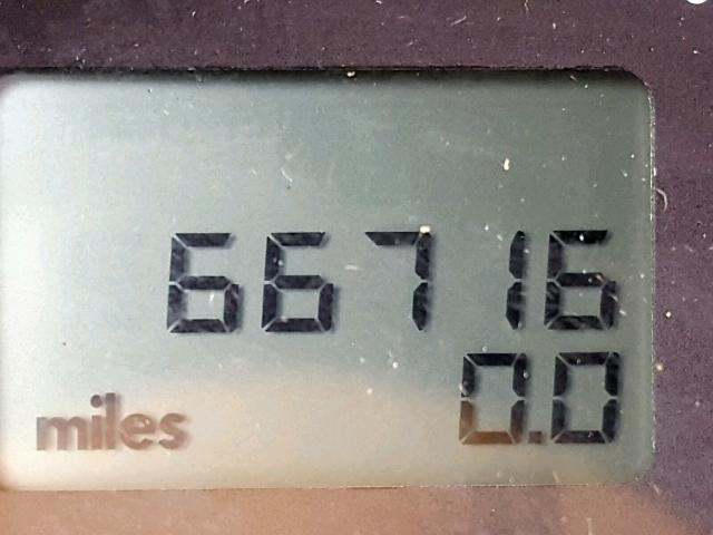 3VWCK31C54M416367 - 2004 VOLKSWAGEN NEW BEETLE Yaşıl foto 8