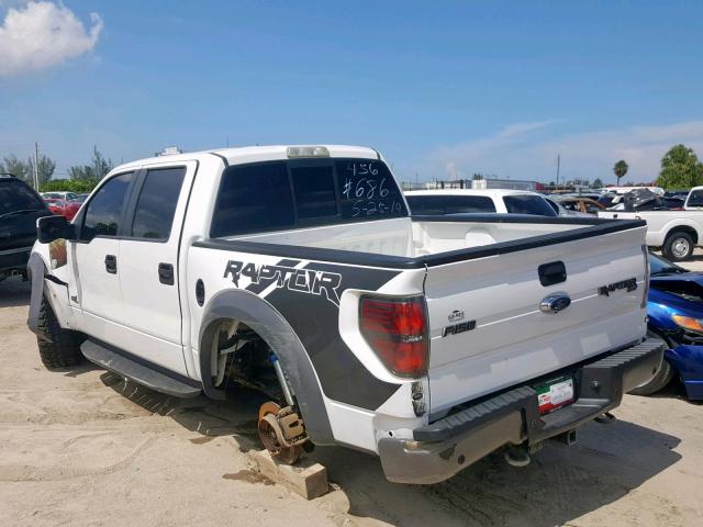 1FTFW1R65EFA12347 - 2014 FORD F150 SVT R WHITE photo 3