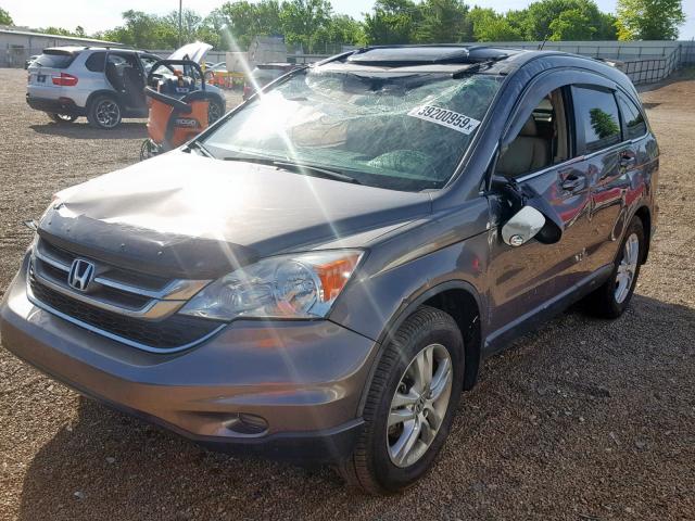 5J6RE4H79AL069796 - 2010 HONDA CR-V EXL BROWN photo 2