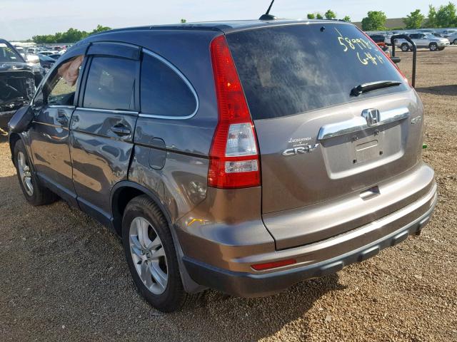 5J6RE4H79AL069796 - 2010 HONDA CR-V EXL BROWN photo 3