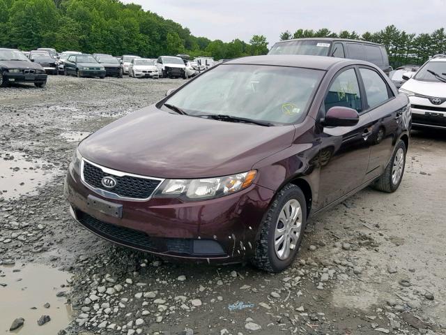 KNAFU4A23B5357858 - 2011 KIA FORTE EX MAROON photo 2