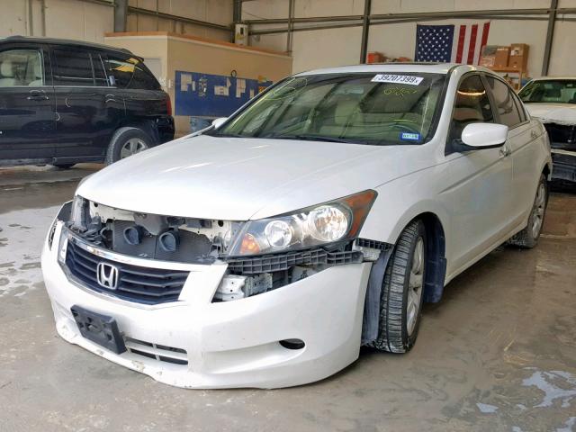 1HGCP3F82AA026992 - 2010 HONDA ACCORD EXL WHITE photo 2