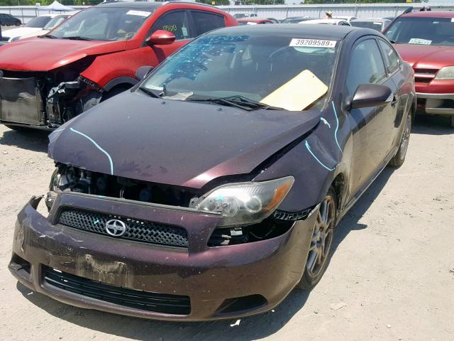 JTKDE167990299832 - 2009 TOYOTA SCION TC იასამნისფერი ფოტო 2