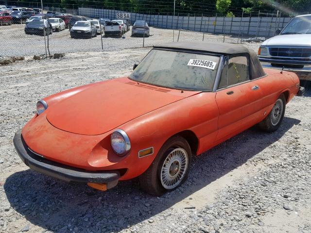 AR3051219 - 1977 ALFA ROMEO SPIDER RED photo 2