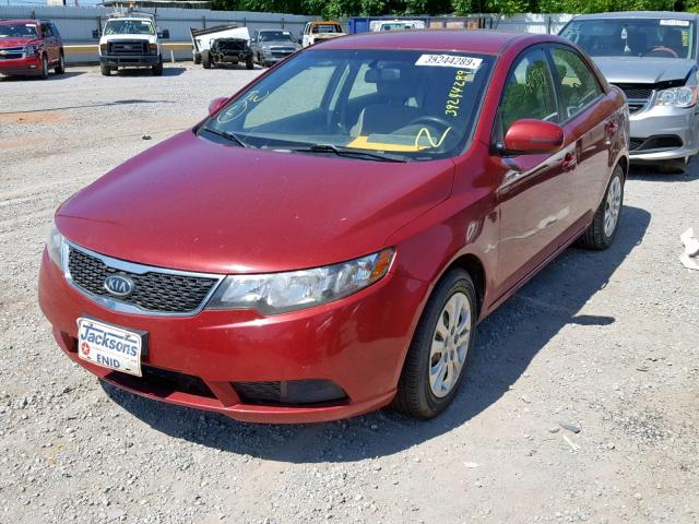 KNAFU4A23C5550237 - 2012 KIA FORTE EX RED photo 2