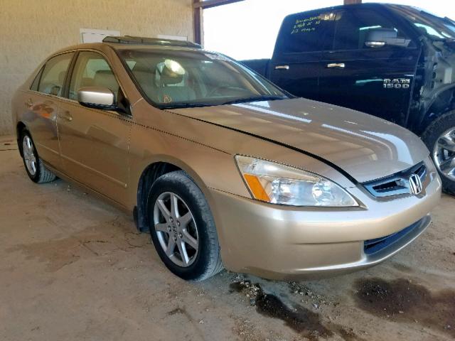 1HGCM66583A095723 - 2003 HONDA ACCORD GOLD photo 1