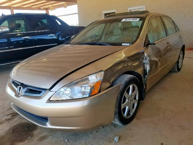 1HGCM66583A095723 - 2003 HONDA ACCORD GOLD photo 2