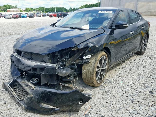 1N4AA6AP1GC446107 - 2016 NISSAN MAXIMA 3.5 BLACK photo 2