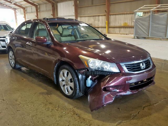 5KBCP3F81AB016137 - 2010 HONDA ACCORD EXL BURGUNDY photo 1