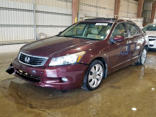 5KBCP3F81AB016137 - 2010 HONDA ACCORD EXL BURGUNDY photo 2