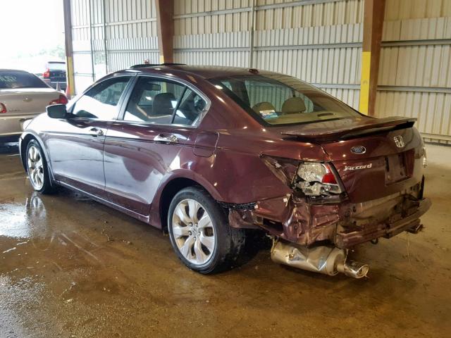 5KBCP3F81AB016137 - 2010 HONDA ACCORD EXL BURGUNDY photo 3