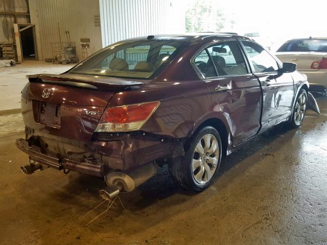 5KBCP3F81AB016137 - 2010 HONDA ACCORD EXL BURGUNDY photo 4