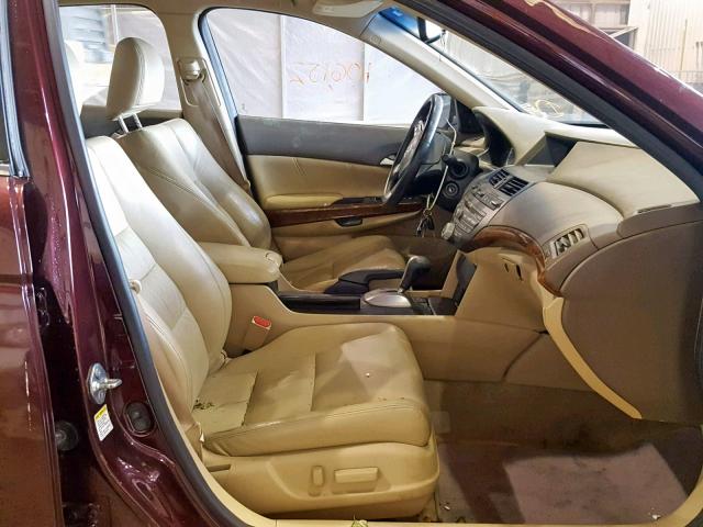 5KBCP3F81AB016137 - 2010 HONDA ACCORD EXL BURGUNDY photo 5