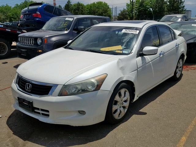 1HGCP36858A041755 - 2008 HONDA ACCORD EXL WHITE photo 2