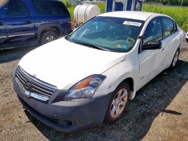 1N4CL21E59C127418 - 2009 NISSAN ALTIMA HYB WHITE photo 2