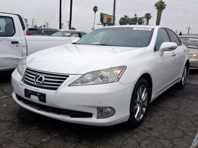 JTHBK1EG3A2385539 - 2010 LEXUS ES 350 WHITE photo 2