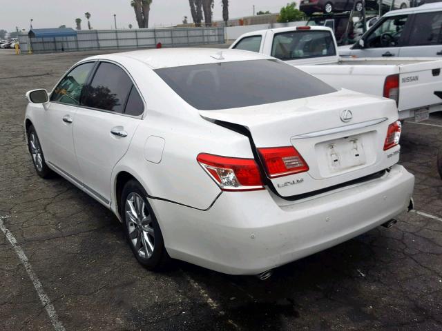 JTHBK1EG3A2385539 - 2010 LEXUS ES 350 WHITE photo 3