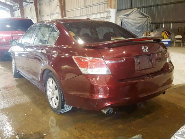 1HGCP36888A065337 - 2008 HONDA ACCORD EXL BURGUNDY photo 3