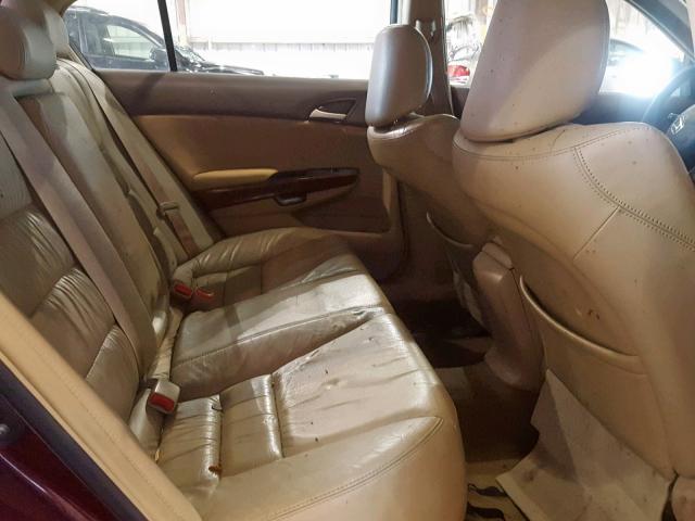 1HGCP36888A065337 - 2008 HONDA ACCORD EXL BURGUNDY photo 6