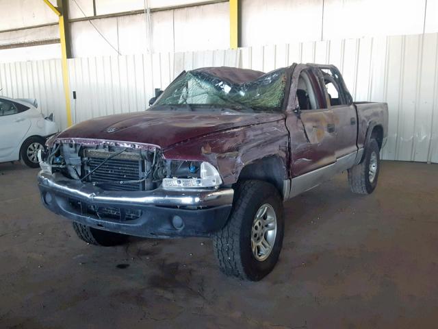 1B7HG2AN11S258487 - 2001 DODGE DAKOTA QUA MAROON photo 2