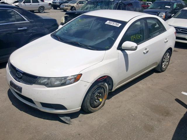 KNAFU4A23A5133066 - 2010 KIA FORTE EX WHITE photo 2