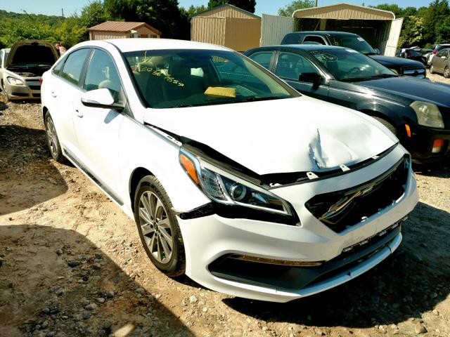 5NPE34AF4GH391366 - 2016 HYUNDAI SONATA SPO WHITE photo 1