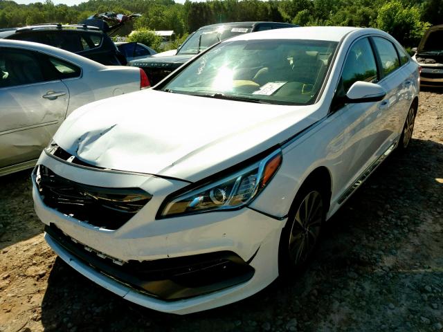 5NPE34AF4GH391366 - 2016 HYUNDAI SONATA SPO WHITE photo 2