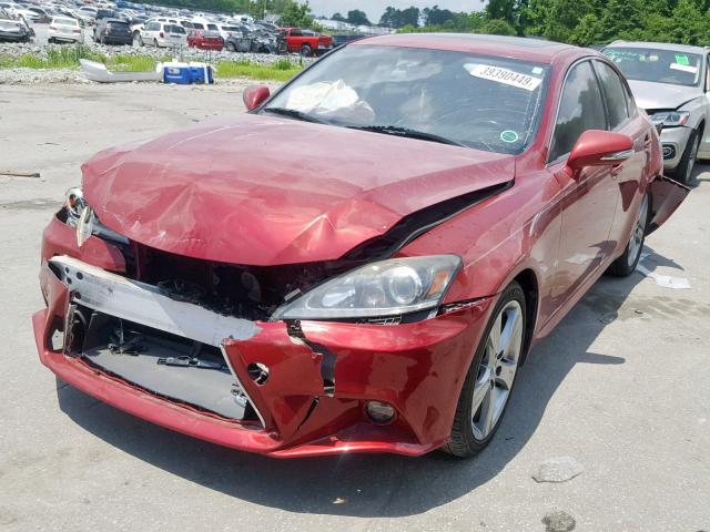 JTHBF5C23B5151355 - 2011 LEXUS IS 250 RED photo 2