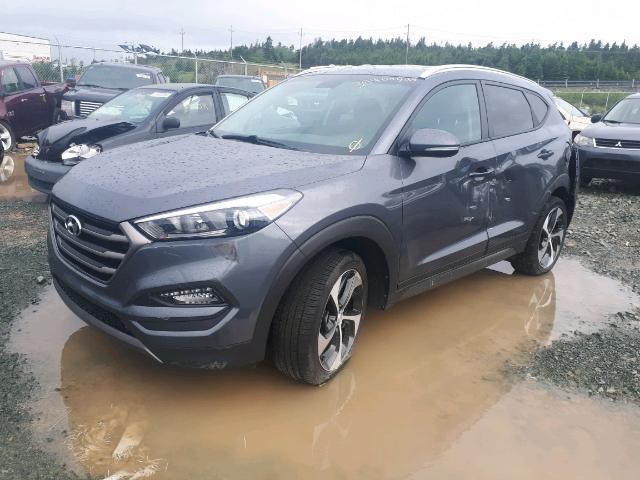 KM8J3CA22GU097441 - 2016 HYUNDAI TUCSON LIM GRAY photo 2