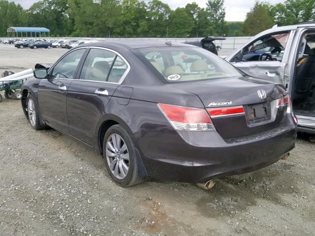 1HGCP3F85BA011968 - 2011 HONDA ACCORD EXL BROWN photo 3