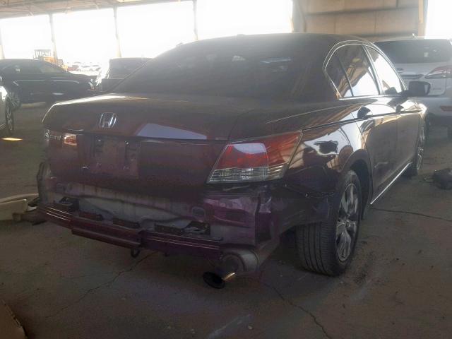 1HGCP26838A054546 - 2008 HONDA ACCORD EXL MAROON photo 4