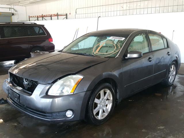 1N4BA41E95C835422 - 2005 NISSAN MAXIMA SE BLUE photo 2