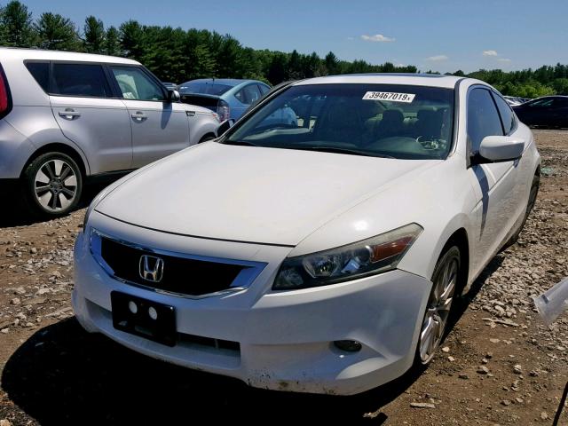 1HGCS2B82AA003372 - 2010 HONDA ACCORD EXL WHITE photo 2