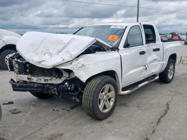 1D7HE48K88S506361 - 2008 DODGE DAKOTA QUA WHITE photo 2