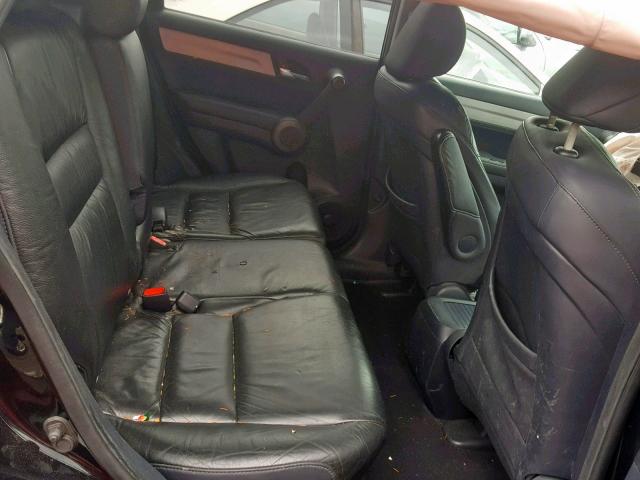 5J6RE4H77AL075855 - 2010 HONDA CR-V EXL BLACK photo 6