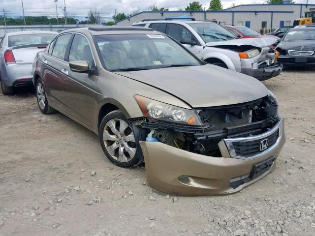 1HGCP36818A004749 - 2008 HONDA ACCORD EXL GOLD photo 1