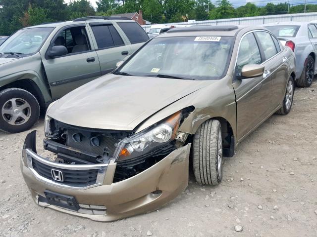 1HGCP36818A004749 - 2008 HONDA ACCORD EXL GOLD photo 2