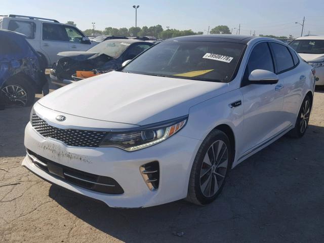 5XXGV4L20GG032881 - 2016 KIA OPTIMA SXL WHITE photo 2