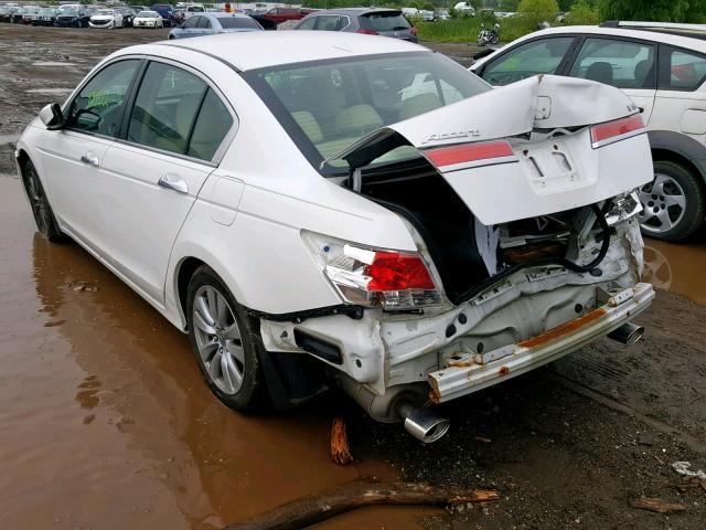 1HGCP3F80CA023589 - 2012 HONDA ACCORD EXL WHITE photo 3