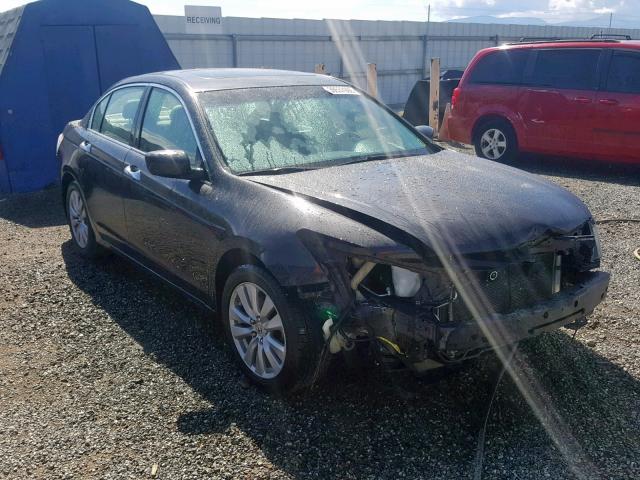 1HGCP3F83BA010530 - 2011 HONDA ACCORD EXL BROWN photo 1