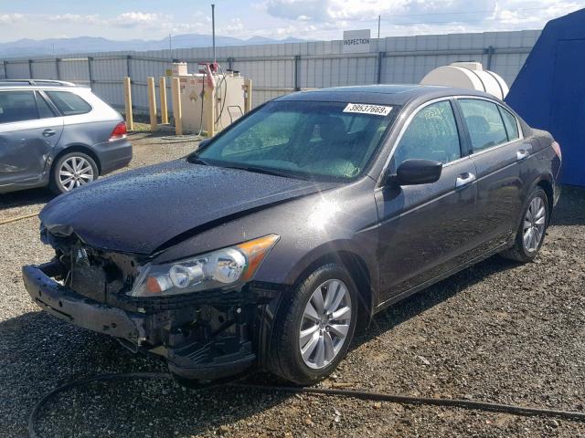 1HGCP3F83BA010530 - 2011 HONDA ACCORD EXL BROWN photo 2