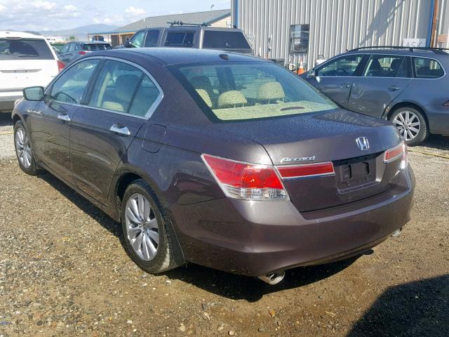 1HGCP3F83BA010530 - 2011 HONDA ACCORD EXL BROWN photo 3