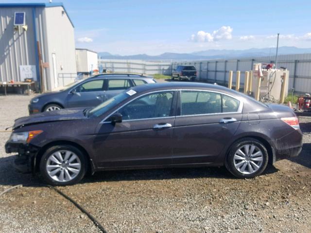 1HGCP3F83BA010530 - 2011 HONDA ACCORD EXL BROWN photo 9