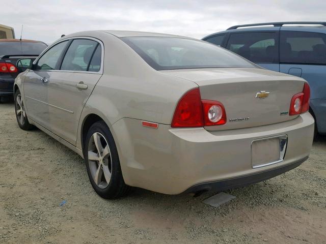 1G1ZC5EU6BF289921 - 2011 CHEVROLET MALIBU 1LT GOLD photo 3