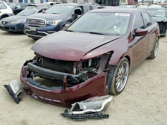 JHMCP26468C053888 - 2008 HONDA ACCORD LXP MAROON photo 2