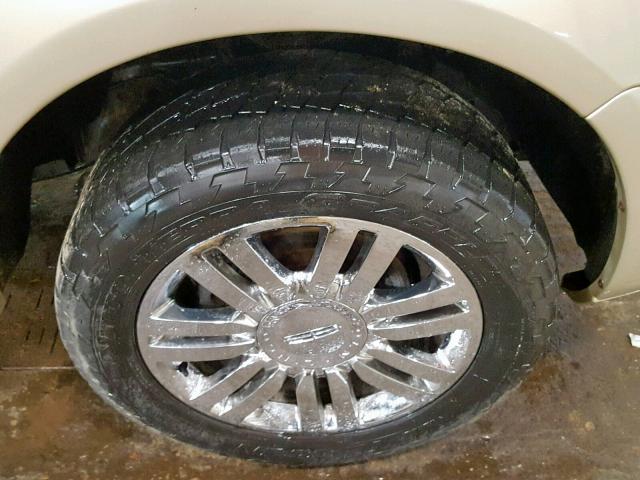 5LMFU28557LJ10599 - 2007 LINCOLN NAVIGATOR კრემისფერი ფოტო 9