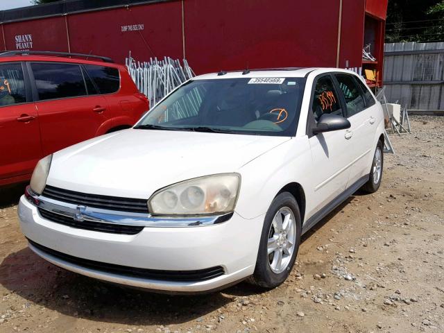 1G1ZT64895F100144 - 2005 CHEVROLET MALIBU MAX WHITE photo 2