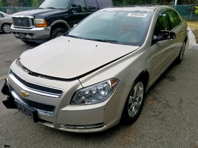 1G1ZH57B59F101851 - 2009 CHEVROLET MALIBU 1LT TAN photo 2